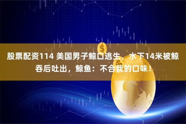 股票配资114 美国男子鲸口逃生，水下14米被鲸吞后吐出，鲸鱼：不合我的口味！