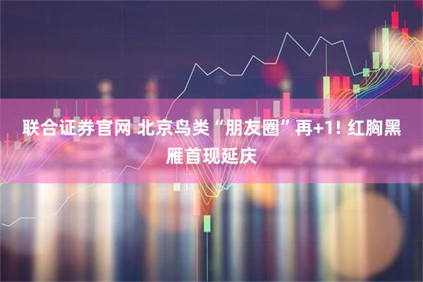 联合证券官网 北京鸟类“朋友圈”再+1! 红胸黑雁首现延庆
