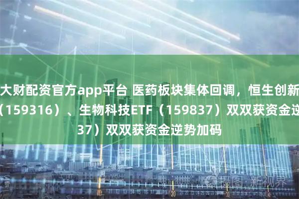 大财配资官方app平台 医药板块集体回调，恒生创新药ETF（159316）、生物科技ETF（159837）双双获资金逆势加码