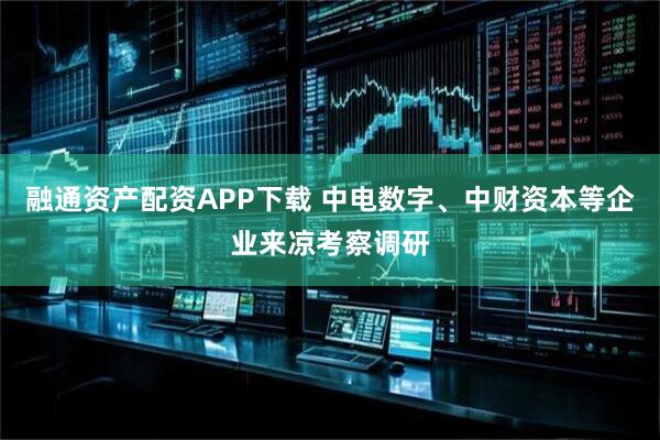 融通资产配资APP下载 中电数字、中财资本等企业来凉考察调研