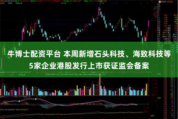 牛博士配资平台 本周新增石头科技、海致科技等5家企业港股发行上市获证监会备案