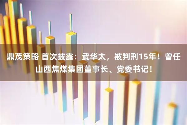 鼎茂策略 首次披露：武华太，被判刑15年！曾任山西焦煤集团董事长、党委书记！